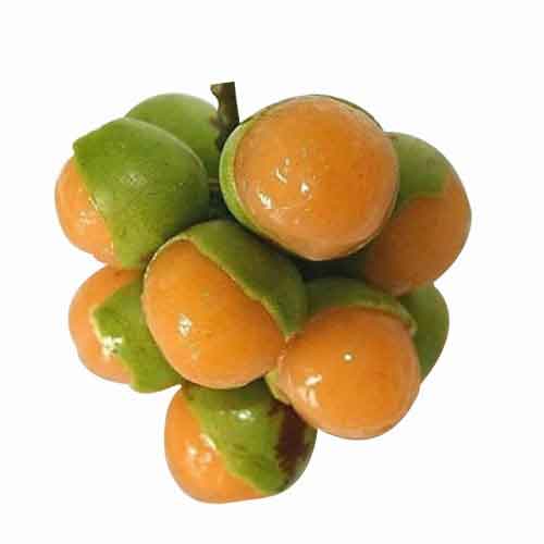 genip Coconut